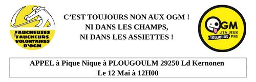 C’EST TOUJOURS NON AUX OGM ! Pique-nique